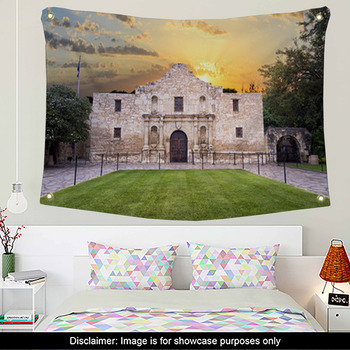 Texas Wall Decor in Canvas, Murals, Tapestries, Posters & More