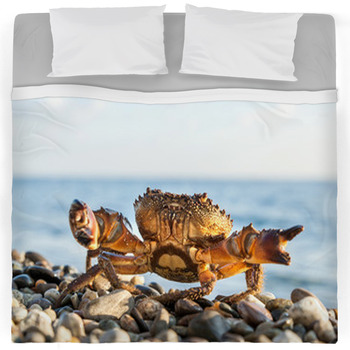 Crab Comforters, Duvets, Sheets & Sets | Custom