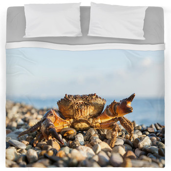 Crab Comforters, Duvets, Sheets & Sets | Custom