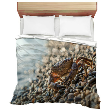 Crab Comforters, Duvets, Sheets & Sets | Custom