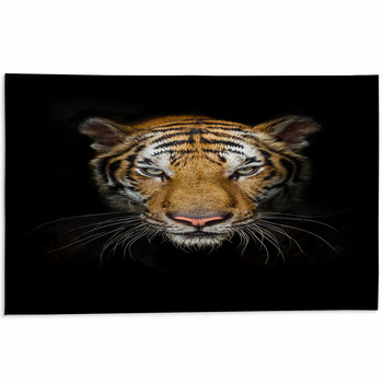 Tiger Rugs & Custom Size Floor Mats