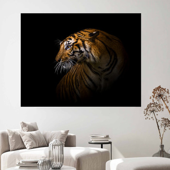 Tiger Wall Decor in Canvas, Murals, Tapestries, Posters & More