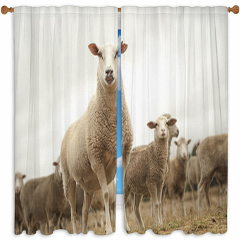 Sheep Window Curtains & Drapes | Block Out | Custom Sizes