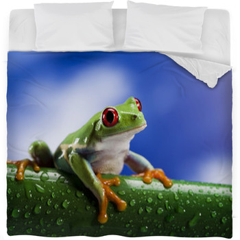 Frog Comforters, Duvets, Sheets & Sets 