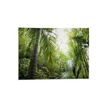 Rainforest Area Rugs Custom Size Floor Mats