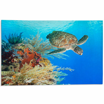 Turtle Area Rugs & Custom Size Floor Mats