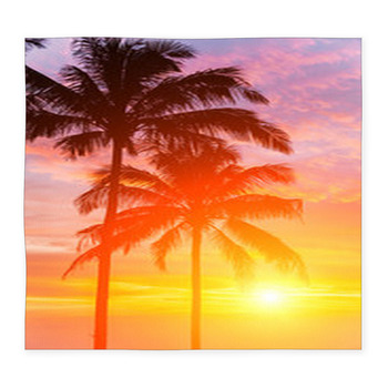 Tropical sunset Rugs & Custom Size Floor Mats