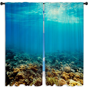 An Undersea Animal Shower Curtain, Red Sea Fish, Starfish, Scallop