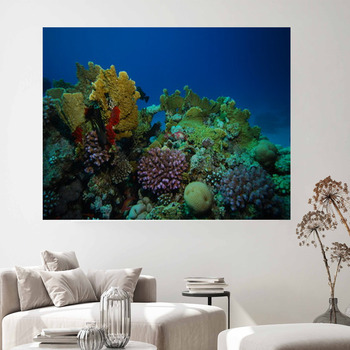 Coral reef Wall Decor | Murals | Tapestry | Posters | Custom Sizes