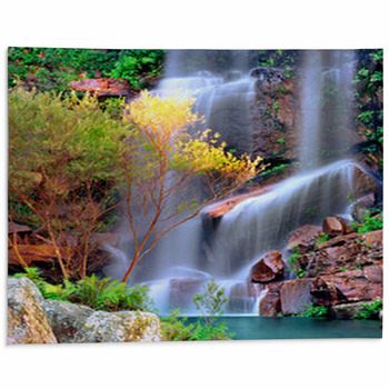 https://www.visionbedding.com/images/theme/waterfall-in-rainforest-tropical-paradise-area-rug-2981539.jpg