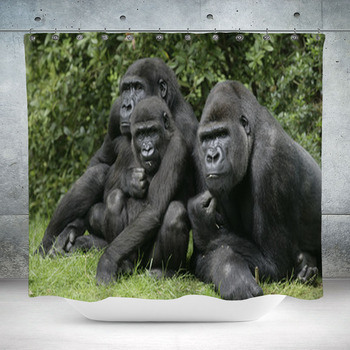 https://www.visionbedding.com/images/theme/western-lowland-gorilla-gorilla-gorilla-custom-size-shower-curtain-59828635.jpg