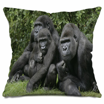  Stained Glass Gorilla Gifts Gorilla Stained Glass Throw Pillow,  18x18, Multicolor : Home & Kitchen