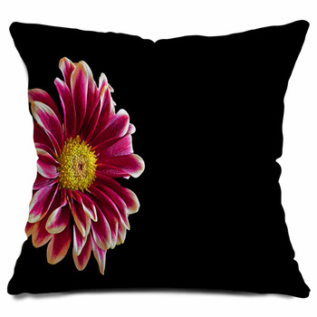 https://www.visionbedding.com/images/theme/white-edged-burgundy-dahlia-flower-on-black-outdoor-throw-pillow-43404350.jpg