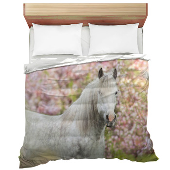 White Horse In Pink Blossom Trees Comforter