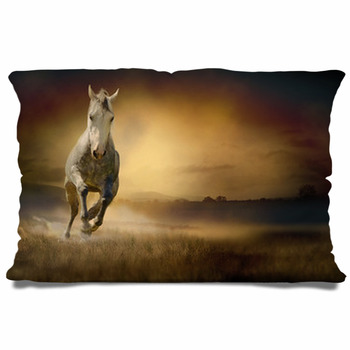 White Horse In Sunset Pillow Case/Sham