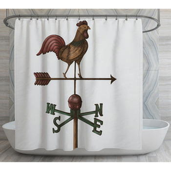 Wind Vane Vintage Style Illustration Shower Curtain