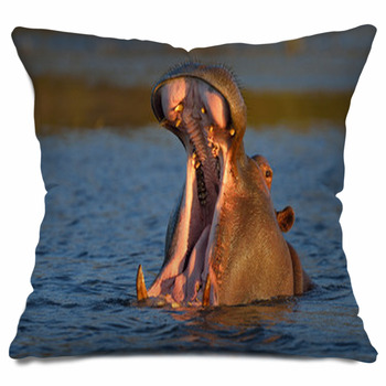 hippopotamus pillow