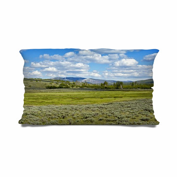 Yellowstone Throw Pillows, Cases