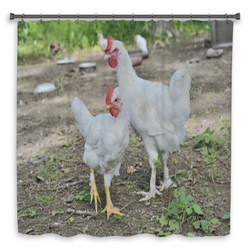 Young Cocks 1 Shower Curtain