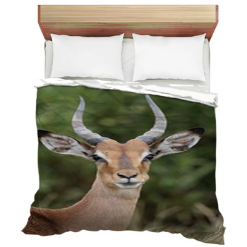 Antelope Comforters, Duvets, Sheets & Sets | Custom