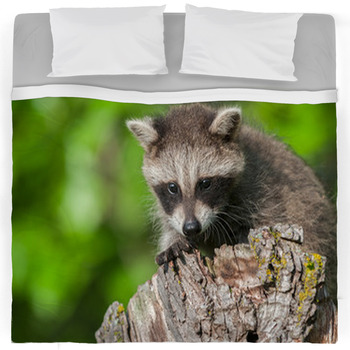 Raccoon Comforters Duvets Sheets Sets Personalized