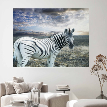 Zebra Wall Decor in Canvas, Murals, Tapestries, Posters & More