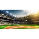 Professional Baseball Grand Arena In Sunlight Custom Size Window Curtains